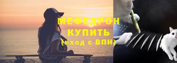 spice Ельня