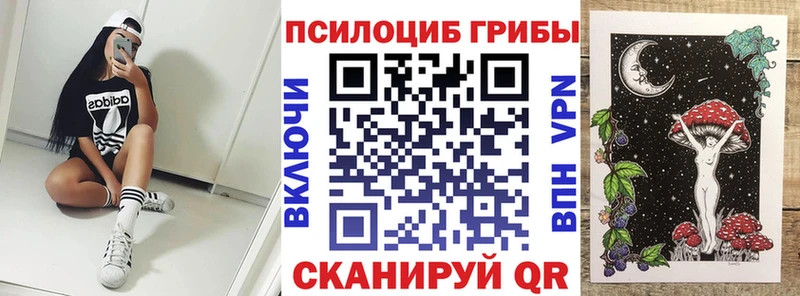 Галлюциногенные грибы GOLDEN TEACHER Павловская